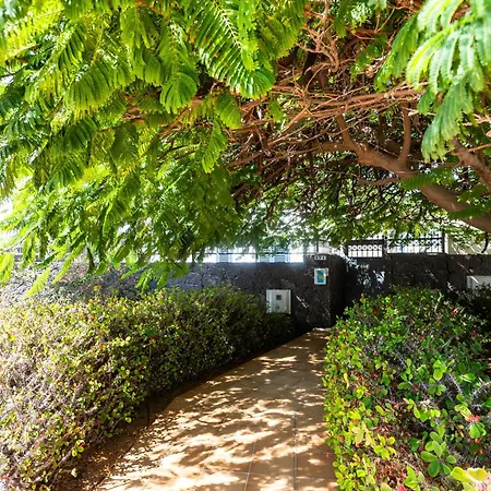 Marina Rubicon Number 3 شقة